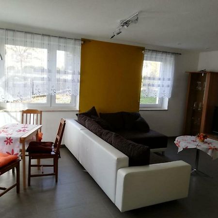 Ferienwohnung, Monteurwohnung Grossrohrsdorf Kültér fotó